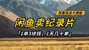 闲鱼卖纪录片1单3块钱,1天几十单,项目稳定有潜力-第一资源库