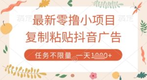最新零撸小项目，复制粘贴抖音广告即可挣钱，平台大水，任务不限量，一天数张【揭秘】-第一资源库