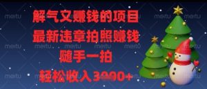 解气又挣钱的项目，最新违章拍照挣钱，随手一拍，轻松收入多张【揭秘】-第一资源库