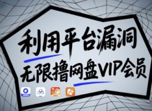利用平台漏洞,无限撸网盘VIP会员,用户亲测有效!【漏洞原理+操作演示】-第一资源库