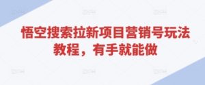 悟空搜索拉新项目营销号玩法教程，有手就能做-第一资源库