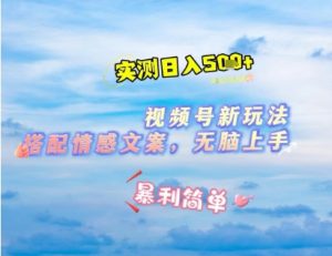 微信视频号最新玩法，表情包搭配情感文案，2分钟一条原创作品，简单好上手，轻松日入几张-第一资源库