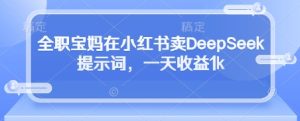 全职宝妈在小红书卖DeepSeek提示词，一天收益1k-第一资源库