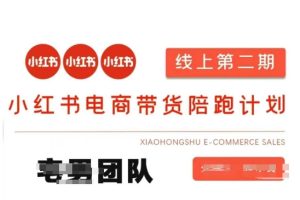 小红书电商带货课2期,月利润20个的小红书电商的有货源,无货源,虚拟产品,付费投流等整套玩法-第一资源库