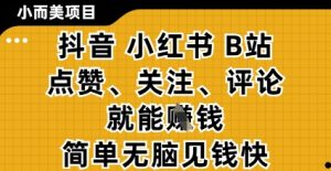 小而美的项目，抖音小红书B站视频点赞、关注、评论就能挣钱，简单无脑立见收益，妥妥的零撸项目【揭秘】-第一资源库