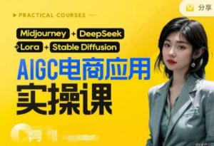 AI电商应用实操课(加更DeepSeek)保姆级喂饭教程,从0-1用AI做电商-第一资源库