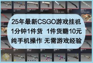 25年最新CSGO游戏挂G，1分钟1件货，1件货挣10元，纯手机操作，无需游戏经验【揭秘】-第一资源库