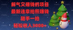 解气又挣钱的项目，最新违章拍照挣钱，随手一拍，轻松收入数张【揭秘】-第一资源库