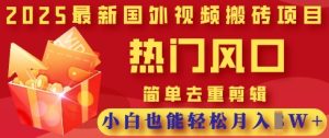 2025最新视频搬砖项目,热门风口,简单去重剪辑,小白也能轻松月入过W-第一资源库