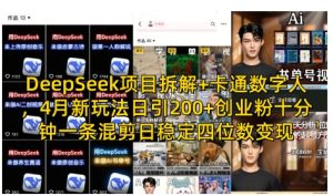DeepSeek项目拆解+卡通数字人,4月新玩法日引200+创业粉十分钟一条混剪日稳定四位数变现-第一资源库