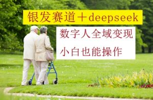 银发赛道+deepseek数字人全域变现，小白也能操作-第一资源库