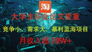 大学生毕业论文查重，暴利蓝海项目，月收入过1W+-第一资源库