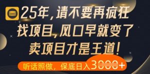 什么？25年你还在疯狂找项目做，醒醒吧，看完这些你全都懂了【揭秘】-第一资源库