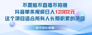 不露脸不直播不拍摄抖音单条视频日入1k+这个项目适合所有人长期积累的项目-第一资源库
