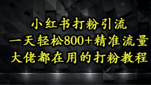 小红书打粉引流,一天轻松500+精准流量,大佬都在用的打粉教程-第一资源库