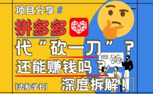 【2025最新】拼多多代坎助力项目深度拆解:还能挣钱吗?全流程玩法-第一资源库