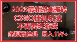2025最新游戏搬砖，CSGO挂G，不需要玩游戏，实现真挂G，月入1W+【揭秘】-第一资源库