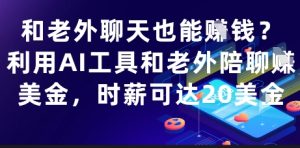 和老外聊天也能挣钱?利用AI工具和老外陪聊挣美金,时薪可达20刀-第一资源库