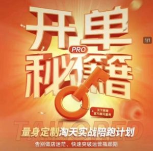 淘宝开单秘籍PRO,量身定制淘天实战陪跑计划,告别做店迷茫、快速突破运营瓶颈期(更新)-第一资源库