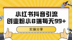 小红书抖音创业粉，小B端粉自热，日引99+的一个玩法【揭秘】-第一资源库