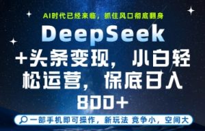 DeepSeek+头条变现,保姆级教学,小白轻松上手,日入8张+【揭秘】-第一资源库
