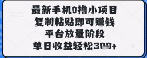 最新手机0撸小项目,复制粘贴即可挣钱,平台放量阶段,单日收益轻松3张+【揭秘】-第一资源库