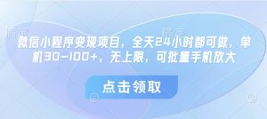 微信小程序变现项目，全天24小时都可做，单机30-100+，无上限，可批量手机放大-第一资源库