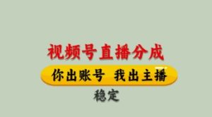 视频号直播分成，全程托管招募，单月轻松变现8k【揭秘】-第一资源库