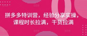 拼多多特训营，经验分享实操，课程时长拉满，干货拉满(更新25年4月)-第一资源库