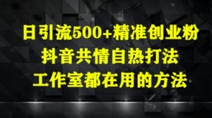日引流500+精准创业粉,抖音共情自热打法,工作室都在用的方法-第一资源库