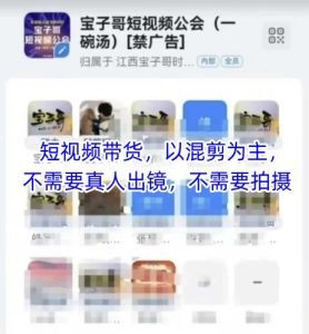宝子哥头部团队短视频带货，以混剪为主，不需要真人出镜，不需要拍摄【更新】-第一资源库