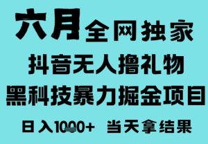 25年6月高爆抖音无人直播最新撸音浪掘金项目,门槛低小白可做,无脑日入1k,可矩阵放大【揭秘】-第一资源库