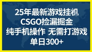 25年CSGO游戏搬砖，全自动挂G，不需要玩游戏，手机操作日入3张+【揭秘】-第一资源库