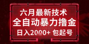 六月最新技术全自动暴力撸金,稳定日入2k+包起号,长期稳定【揭秘】-第一资源库