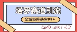 小红书某音塔罗赛道引流获客 自热矩阵日引200+【揭秘】-第一资源库