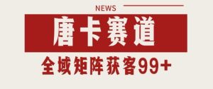 小红书某音唐卡赛道引流获客 自热矩阵日引200+【揭秘】-第一资源库