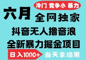 2025年6月高爆抖音无人直播最新撸音浪掘金项目，无脑日入1k+，低门槛小白可做，可矩阵放大【揭秘】-第一资源库