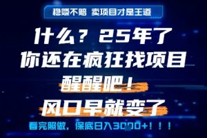 什么?25年你还在疯狂找项目做,醒醒吧,看完这些你全都懂了!【揭秘】-第一资源库