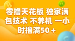 零撸天花板，独家满包技术，不用养机，一小时撸满50+，收益稳定【揭秘】-第一资源库
