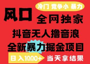 25年6月高爆抖音无人直播最新撸音浪掘金项目，解放双手小白可做，无脑日入1k+，门槛低【揭秘】-第一资源库