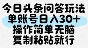 今日头条问答玩法，单账号日入30+，操作简单无脑复制粘贴就行-第一资源库