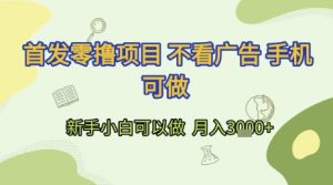 首发零撸项目 不看广告 手机可做 新手小白可以做  月入3k+【揭秘】-第一资源库