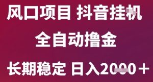 风口项目，六月最新玩法抖音无人挂G，全自动撸金，长期稳定 日入2k+【揭秘】-第一资源库