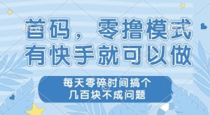 首码零撸项目，有快手就可以做，每天业务时间搞个几张不是问题【揭秘】-第一资源库