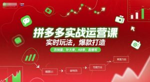 拼多多实战运营课，实时玩法，爆款打造，改销量，补大单，AB单，直播等（更新2025月）-第一资源库