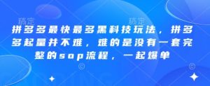 拼多多最快最多黑科技玩法，拼多多起量并不难，难的是没有一套完整的sop流程，一起爆单（更新6月）-第一资源库