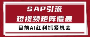 小红书某音sap赛道引流获客 自热矩阵日引200+【揭秘】-第一资源库