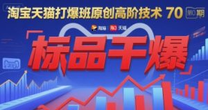 淘宝天猫打爆班原创高阶技术第70期：标品干爆-第一资源库