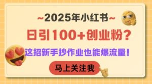 2025年小红书日引100+创业粉?这招新手抄作业也能爆流量!-第一资源库
