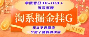 淘系掘金挂G项目，单账号日收益30~100+，多号多得，一个做了就有的项目【揭秘】-第一资源库